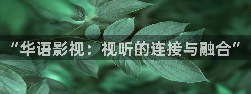 草莓视频在线观看免费www：“华语影视：视听的连接与融合”