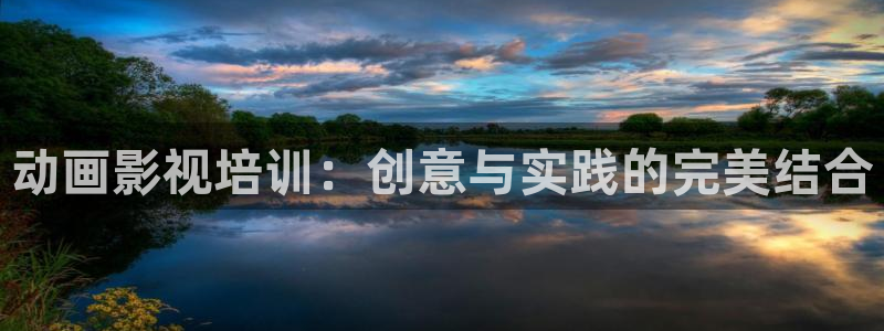 《草莓视频色板》：动画影视培训：创意与实践的完美结合