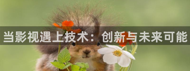 草莓的视频大全集：当影视遇上技术：创新与未来可能