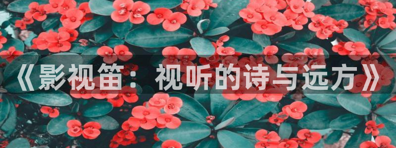 草莓视频下载ios下载：《影视笛：视听的诗与远方》