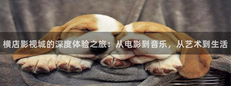 草莓视频免费在线看网站：横店影视城的深度体验之旅：从电影到音乐，从艺术到生活