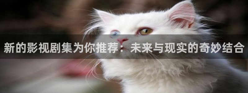 草莓视频精品：新的影视剧集为你推荐：未来与现实的奇妙结合
